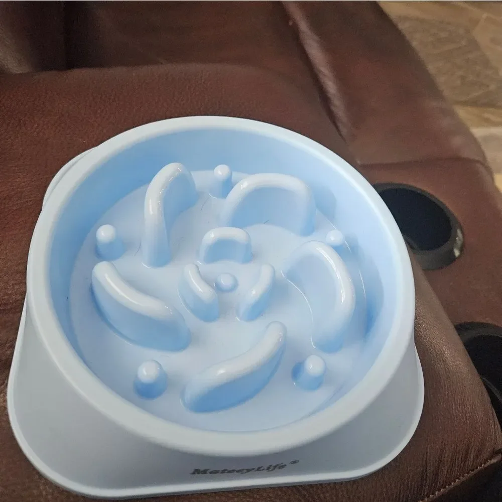 Matey Slow feeder dog dish